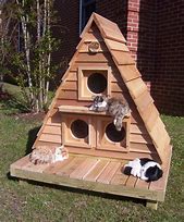 Image result for Outdoor Cat Shelter House