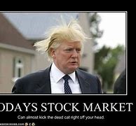 Image result for Trump Stock Market Meme