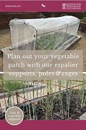 Image result for Vegetable Supports