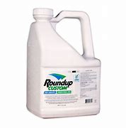 Image result for Roundup Custom Aquatic Terrestrial Herbicide