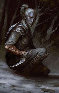 Image result for Dungeons and Dragons God Drow Elf Rogue