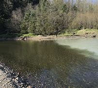 Image result for Creek Meets Lake