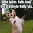 Image result for Cute Puppies Funny Memes
