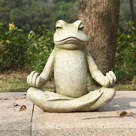 Image result for Frog in Lotus Position