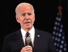 Image result for Who Is Ashley Biden
