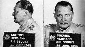 Image result for Hermann Goering Weight