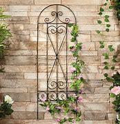 Image result for Garden Plant Supports Metal