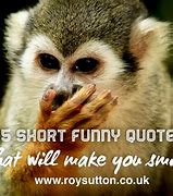 Image result for Short Funny Photography Quotes