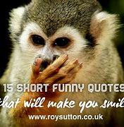 Image result for Funny but Cute Quotes