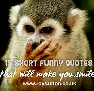 Image result for Quotes About Funny Stuff