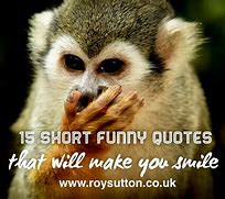 Image result for Funny and Silly Quotes Sayings