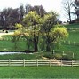 Image result for Farm Fence Building