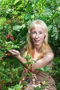 Image result for Woman Hanging From Tree