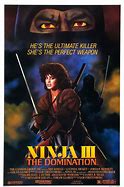 Image result for Hollywood Ninja Movie