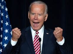 Image result for Pics of Biden and Kids