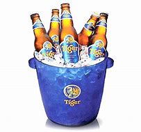 Image result for Tiger Beer Bucket