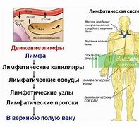 Image result for +тκани
