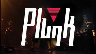 Image result for plunk