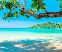 Image result for Beautiful Sea Nature