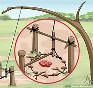 Image result for Survival Snares and Traps Diagrams