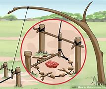 Image result for Types of Traps and Snares