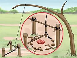 Image result for How to Make a Spring Snare Trap