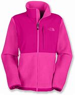 Image result for North Face Pink Fleece Jacket