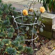 Image result for Peony Plant Supports Wrought Iron