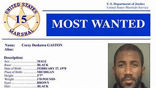 Image result for The Most Wanted Man in the World