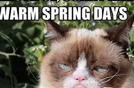 Image result for Funny Spring Weather Cartoon