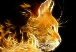 Image result for Kindle Fire Cat Wallpaper 8