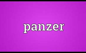 Image result for SS Panzer Wrap