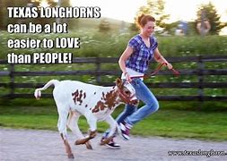 Image result for Texas Longhorn Memes