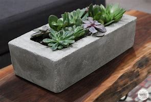Image result for Cement Look Planters