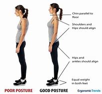 Image result for Standing Upright Good Pasture