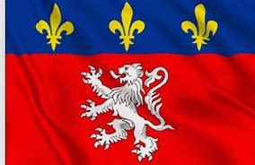Image result for Lyon France Flag