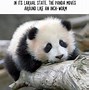 Image result for Weird Facts About Animals
