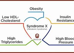 Image result for Syndrome X