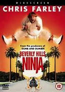 Image result for Sally Jones Beverly Hills Ninja