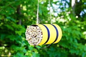 Image result for Bee Habitat