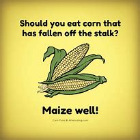 Image result for Corn Farmer Jokes