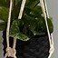 Image result for Hanging Rope Plant Holders