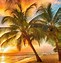 Image result for Sunset Wallpaper for Kindle