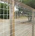 Image result for Goat Wire Fence