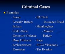 Image result for Criminal Case Definition