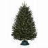 Image result for Fraser Fir Christmas Tree