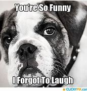 Image result for Ur Not Very Funny Pictures
