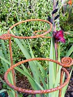 Image result for Metal Plant Supports for Garden