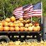 Image result for Best Pumpkin Farms Near Me