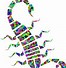 Image result for Cool Scorpion Clip Art